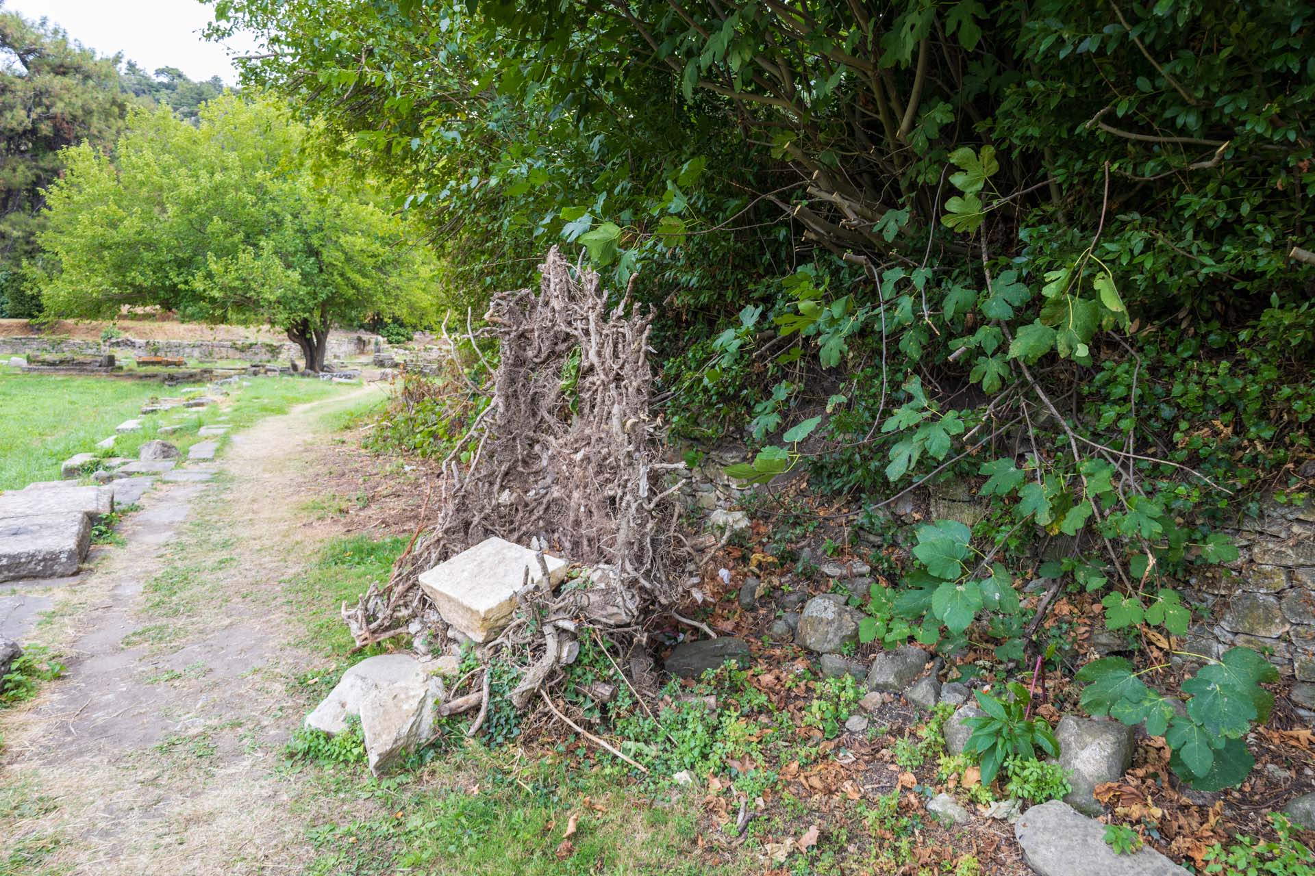 Limenas Thasou Agora