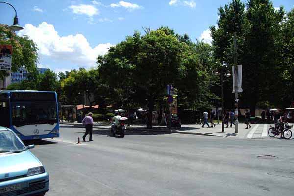 Larisa Park