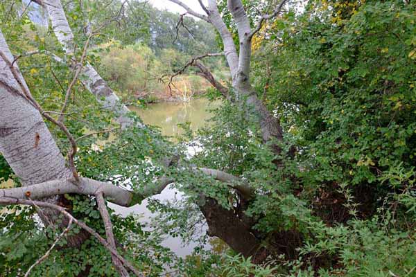 Tempi Fluss Pinios